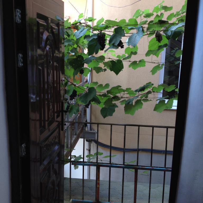 Apartment Downtown Muncaci Exterior foto
